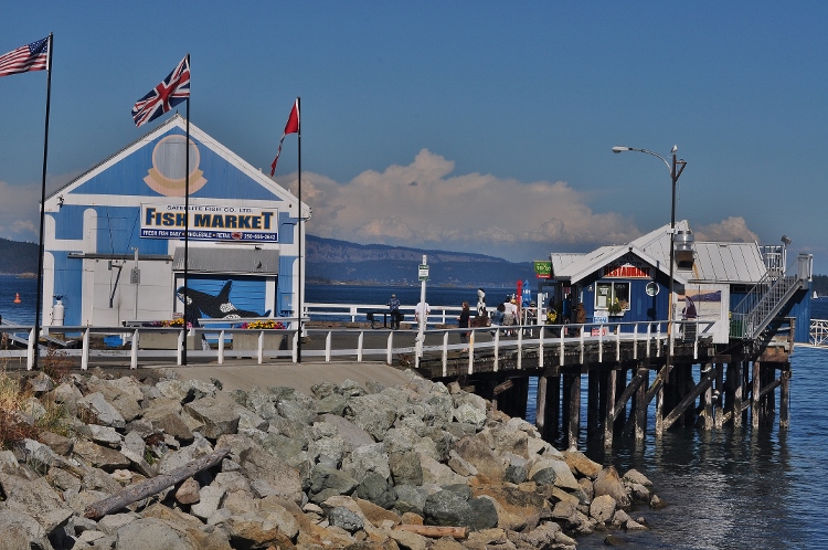 The Sidney harbor